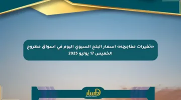 «تغيرات مفاجئة» أسعار البلح السيوي اليوم في أسواق مطروح الخميس 17 يوليو 2025